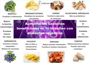 Alimentos beneficiosos intestino